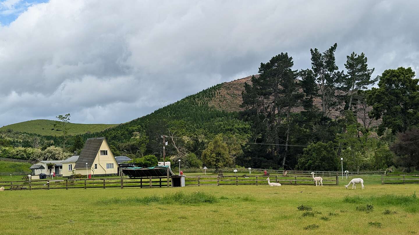 Wairakei Thermal Valley